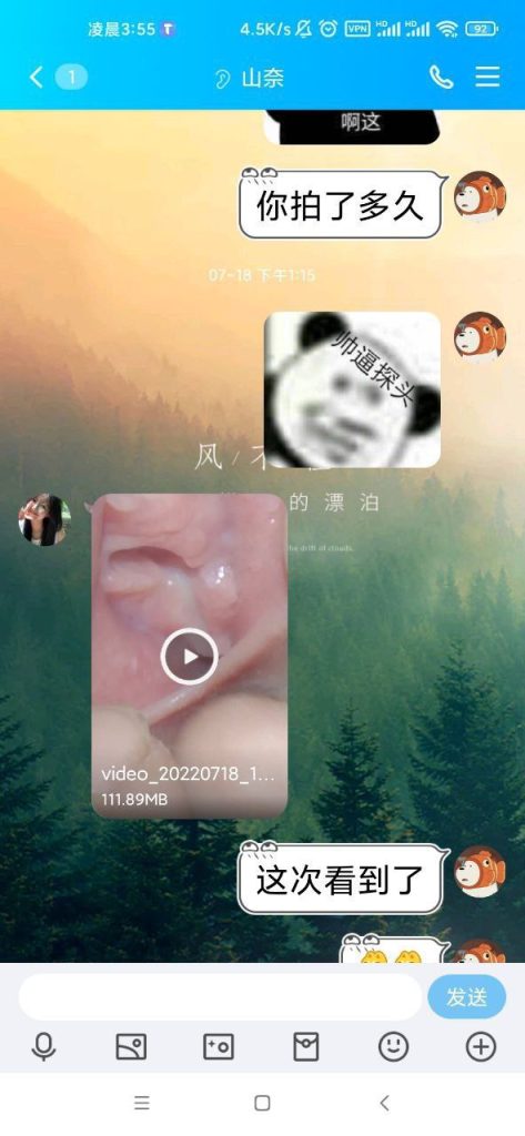 妥妥的少女感 (1)
