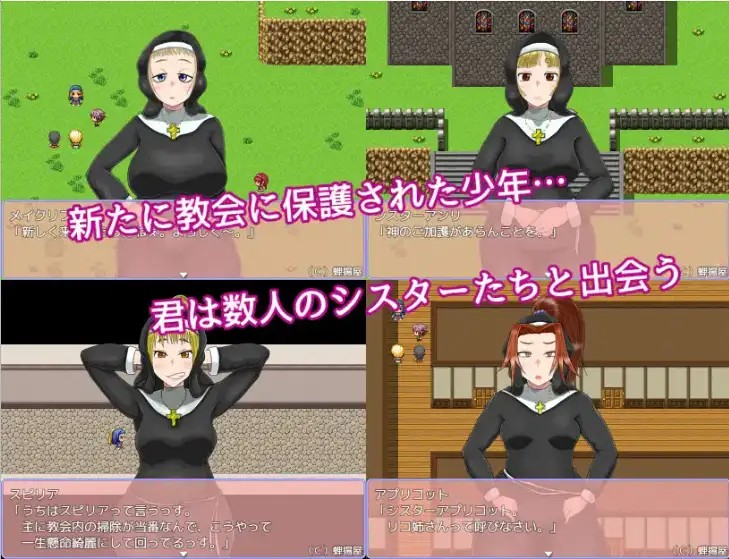 最喜欢帕拉迪安教会 (2)