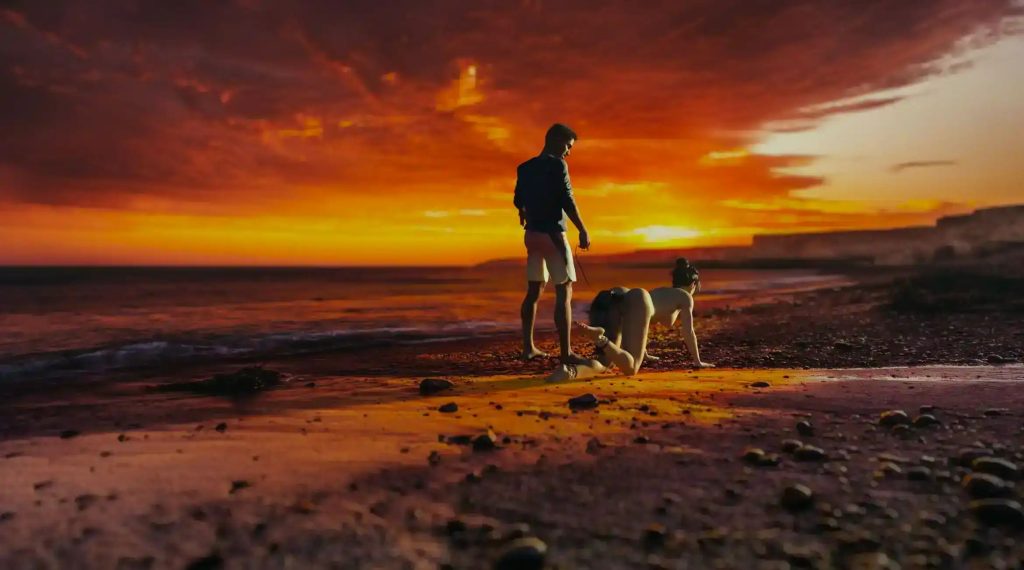 丽莎全面调查 (1)