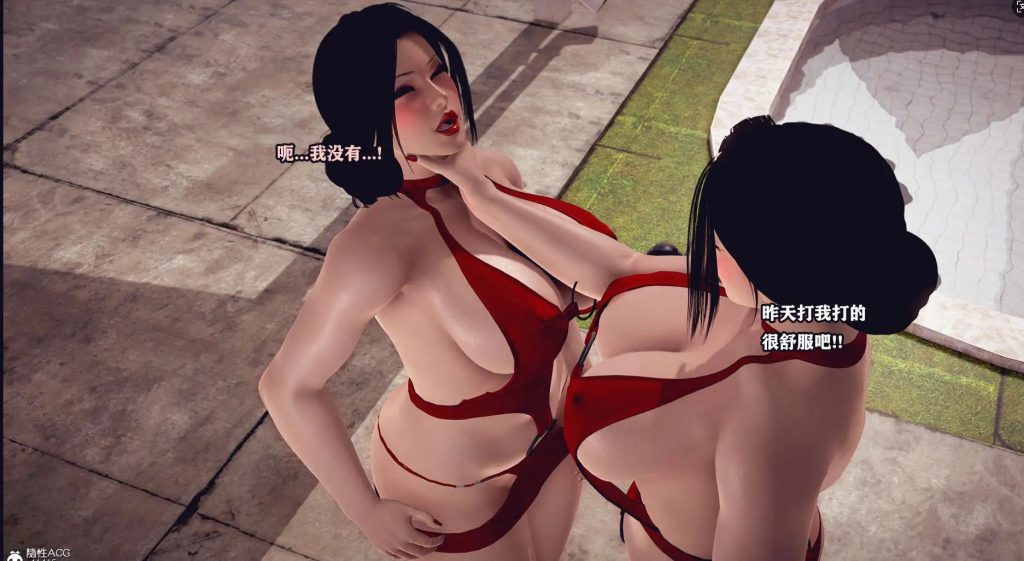 真假美妇人 (3)
